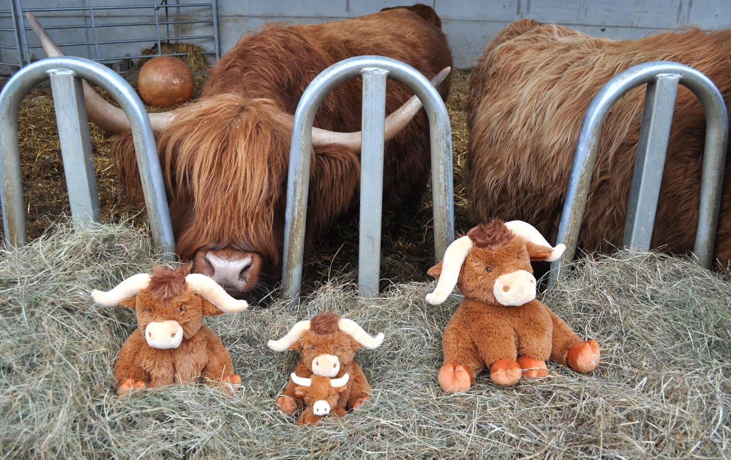 Jomanda Large Longhorn Brown Highland Coo Cow - 30cm