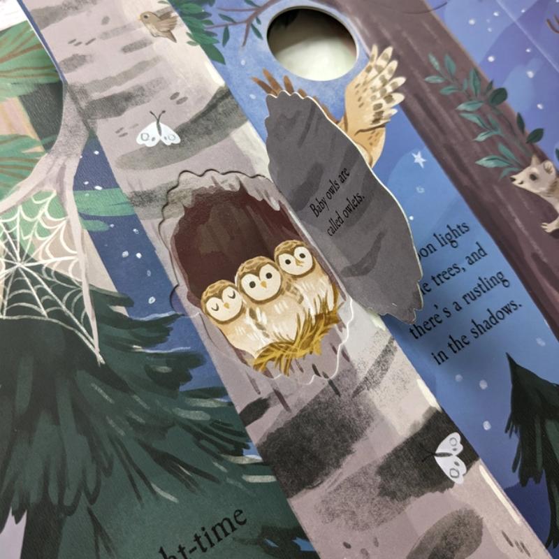 North Parade Let's Explore the Woods Boardbook