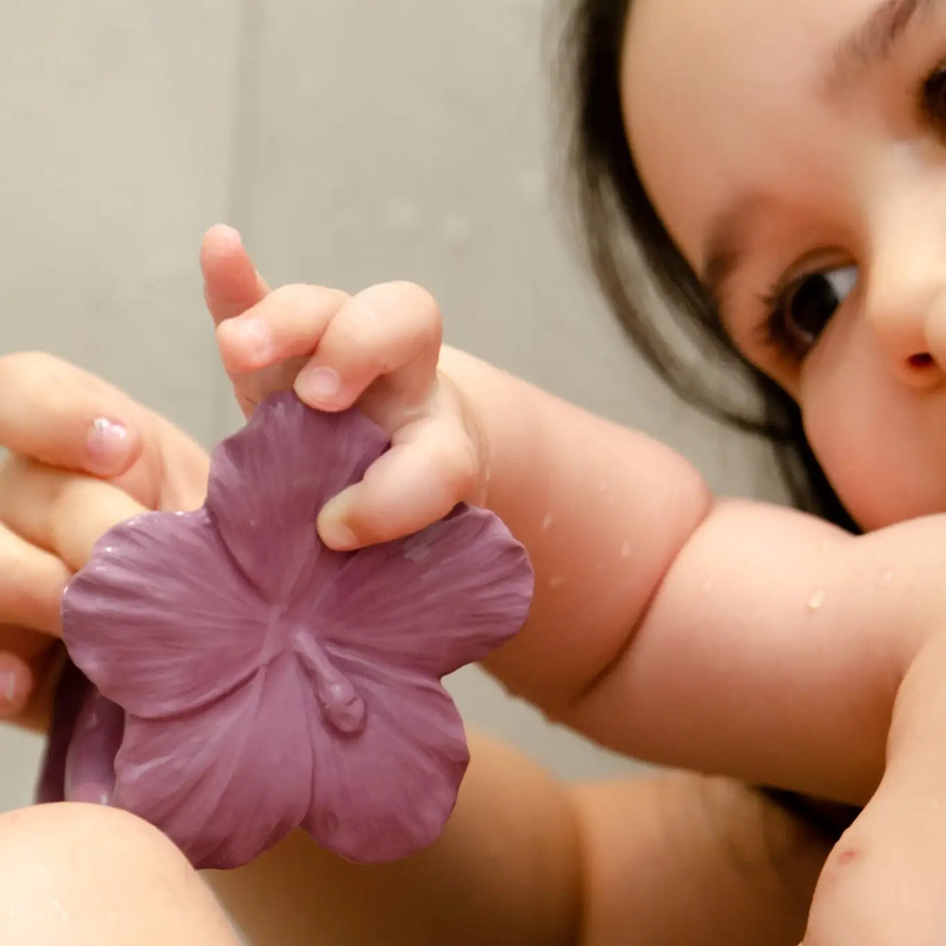 Nibbling Natruba Natural Rubber Teether Hawaii Flower - Purple