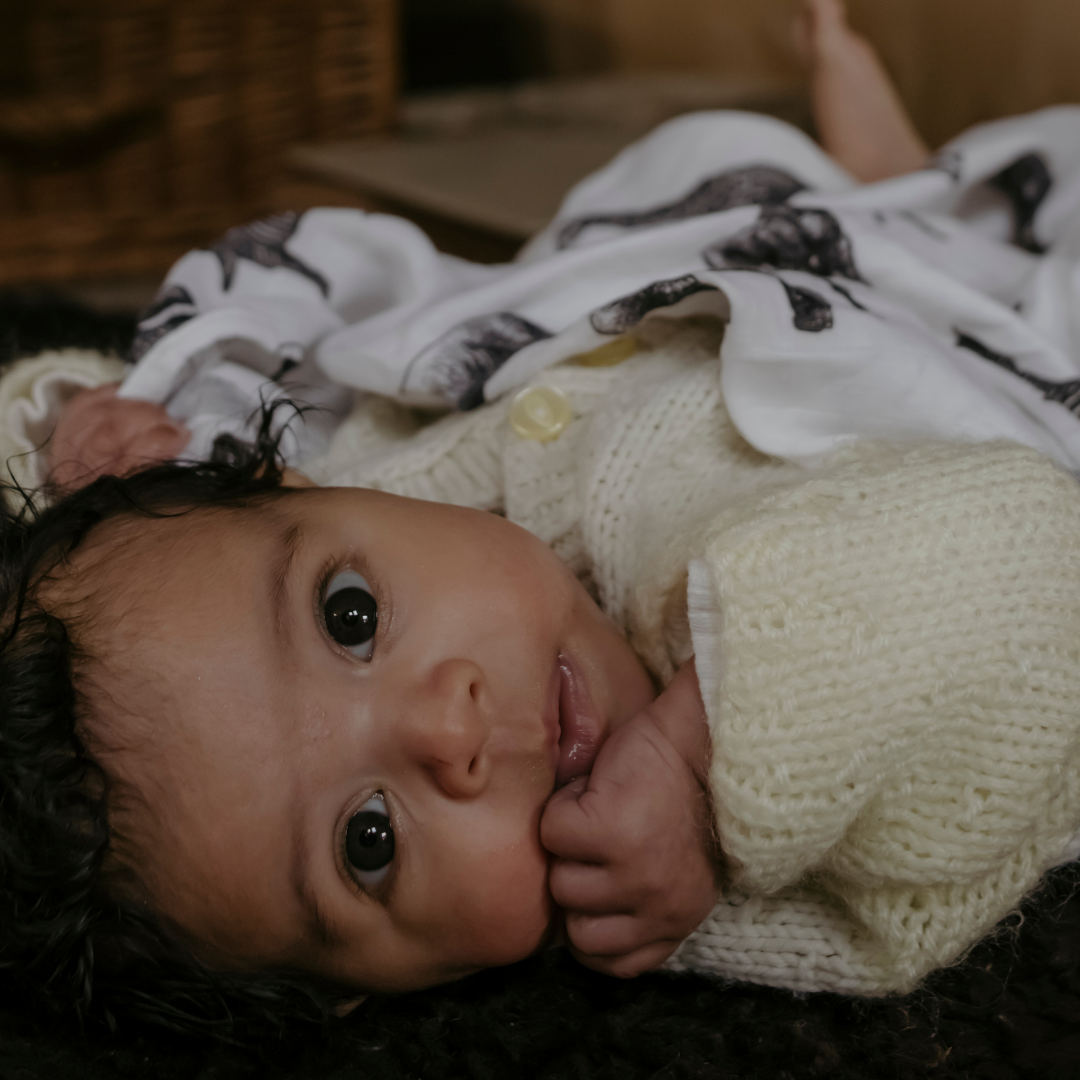 Safari Print Baby Muslins - Pack of 3 (60x60cm)