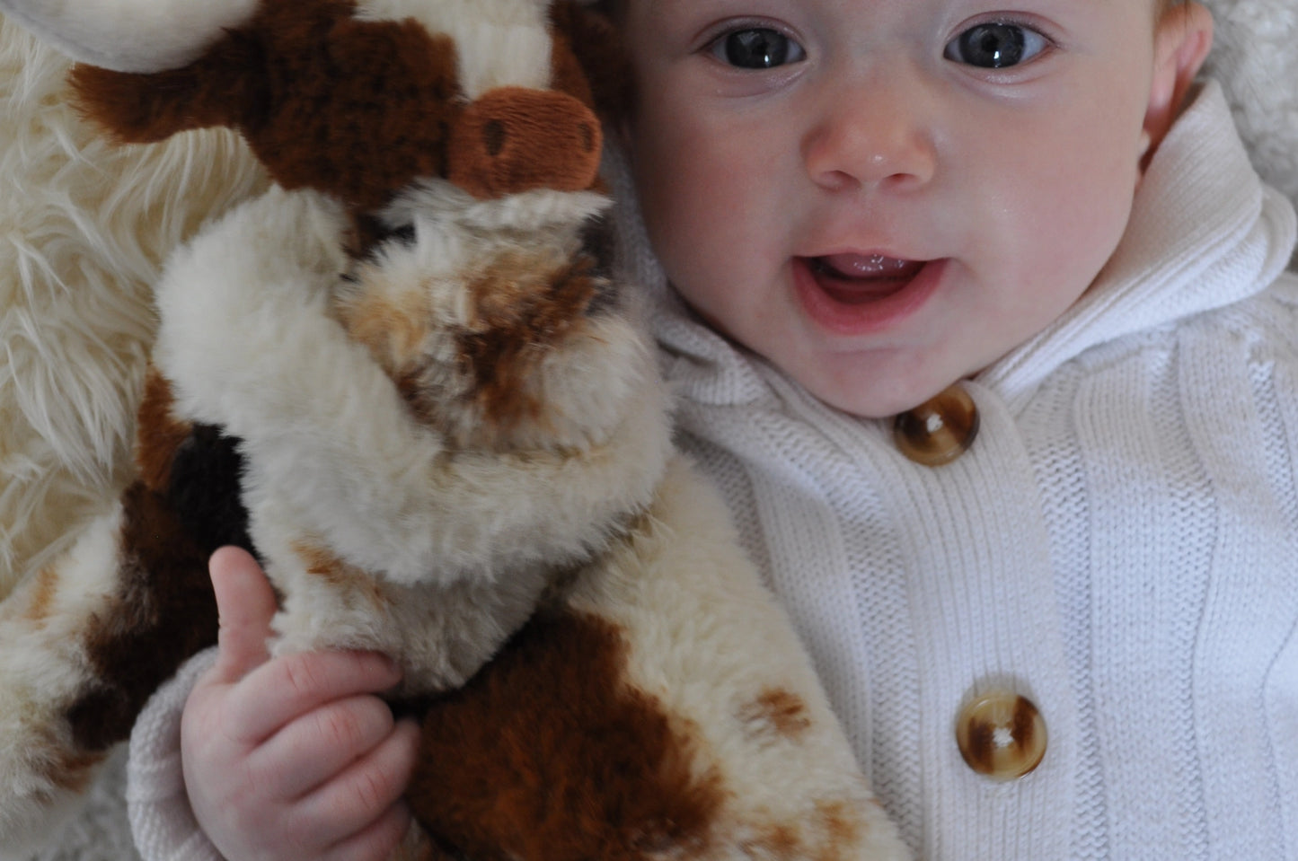 Jomanda Texas Longhorn Highland Cow Soft Toy Soother Comforter