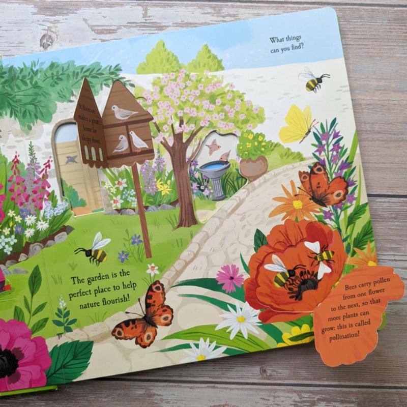 North Parade Let's Explore the Garden Boardbook