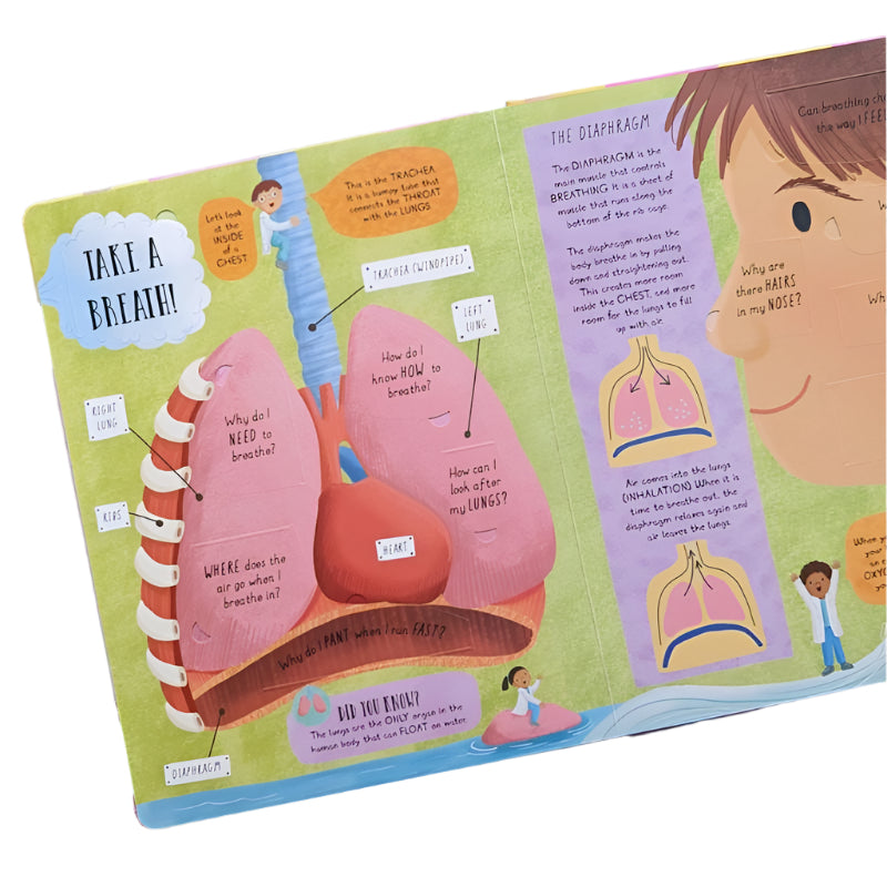 North Parade Human Body Question and Answer Flap Book