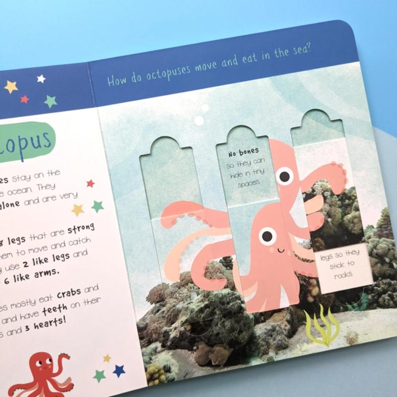 North Parade Little Wonders Ocean Animals