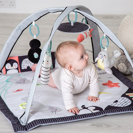 Red Kite Arctic Dreams Playmat