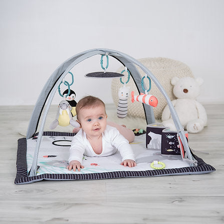Red Kite Arctic Dreams Playmat