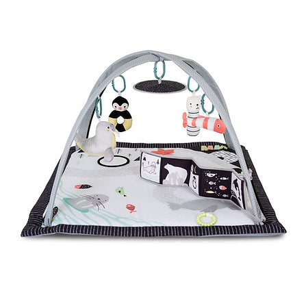 Red Kite Arctic Dreams Playmat