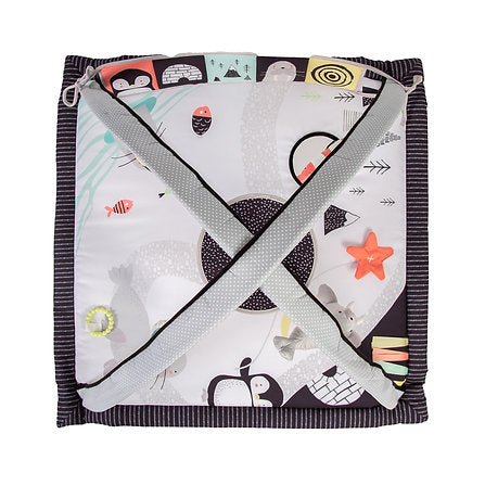Red Kite Arctic Dreams Playmat