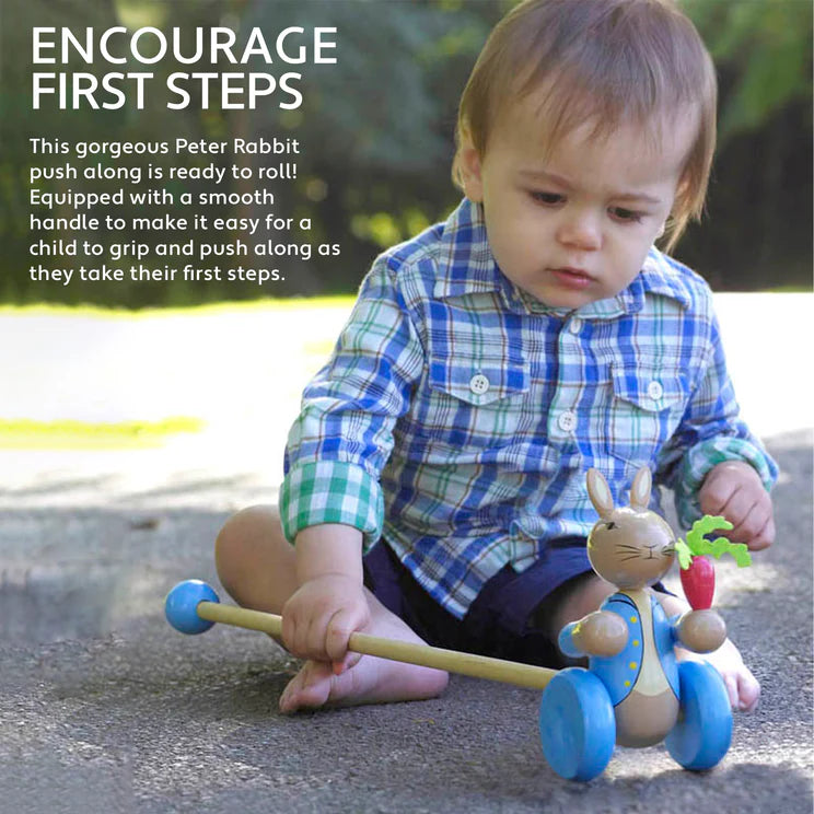 Orange Tree Toys Peter Rabbit™ Push Along
