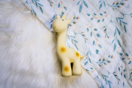 Rainbow Design Giraffe - Natural Rubber Teether Rattle & Bath Toy