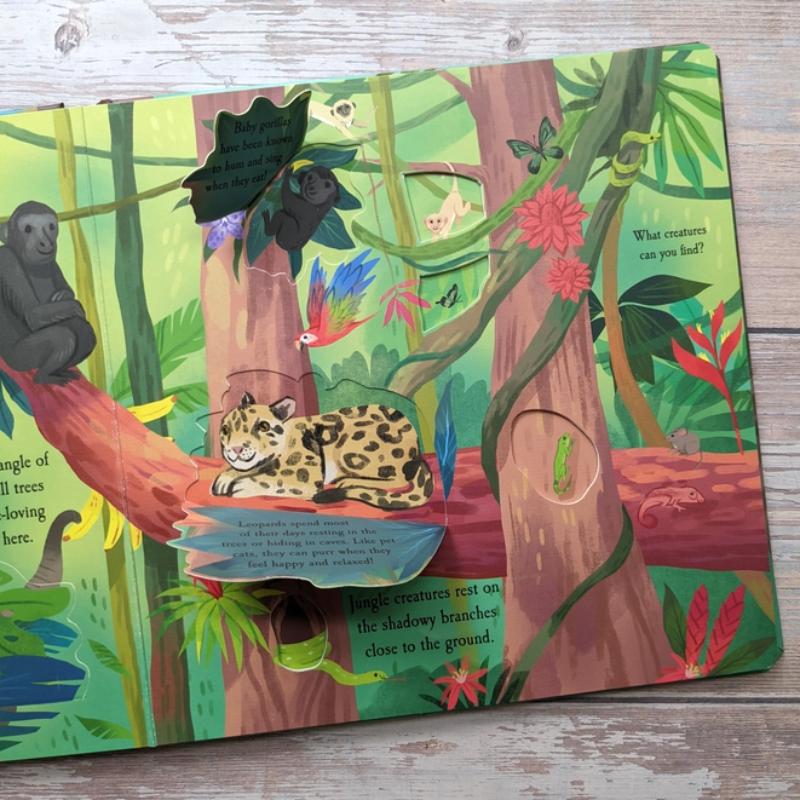 North Parade Let's Explore the Rainforest