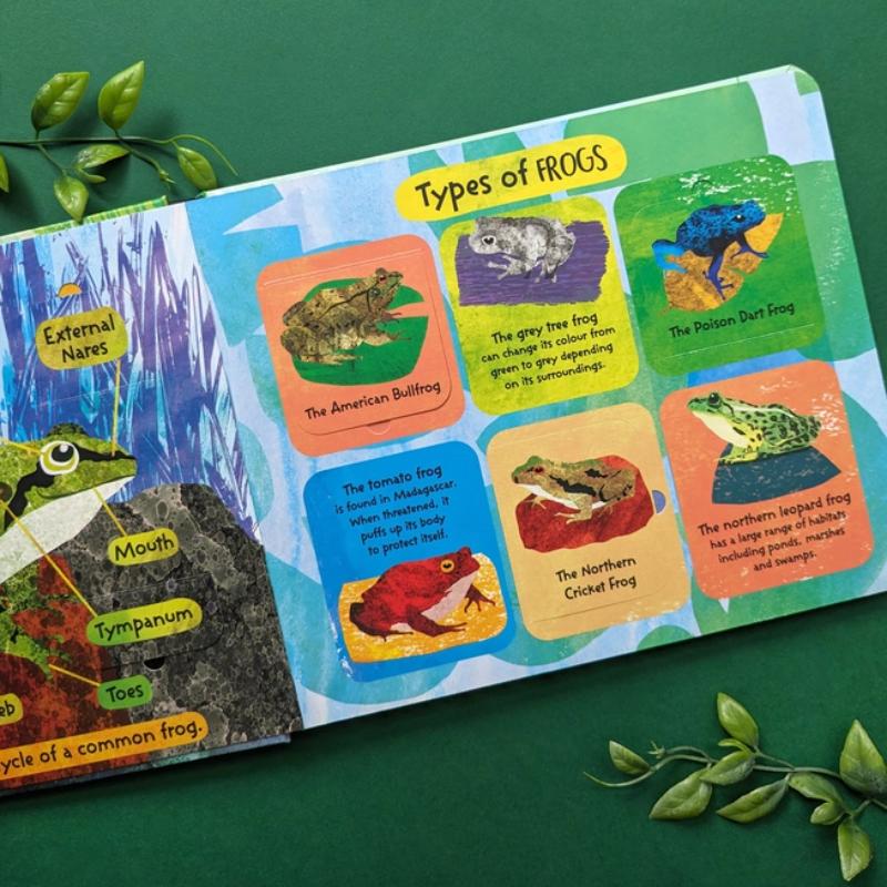 North Parade Life Cycle of Frogs
