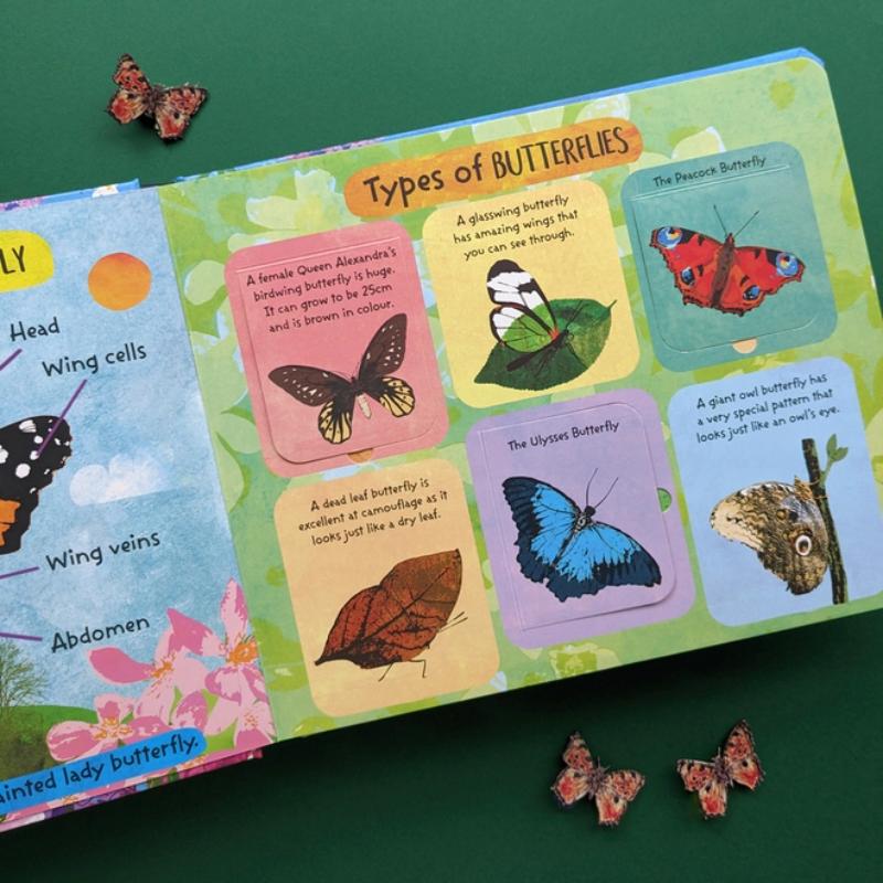 North Parade Life Cycle of Butterflies