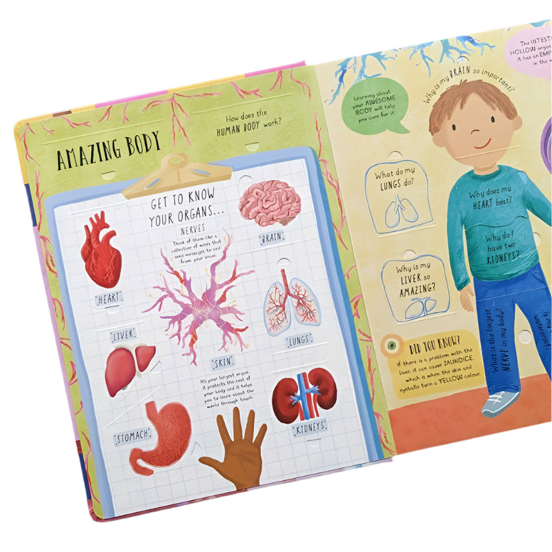 North Parade Human Body Question and Answer Flap Book