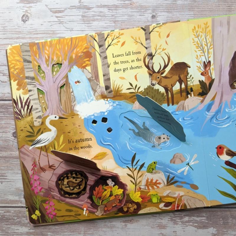 North Parade Let's Explore the Woods Boardbook
