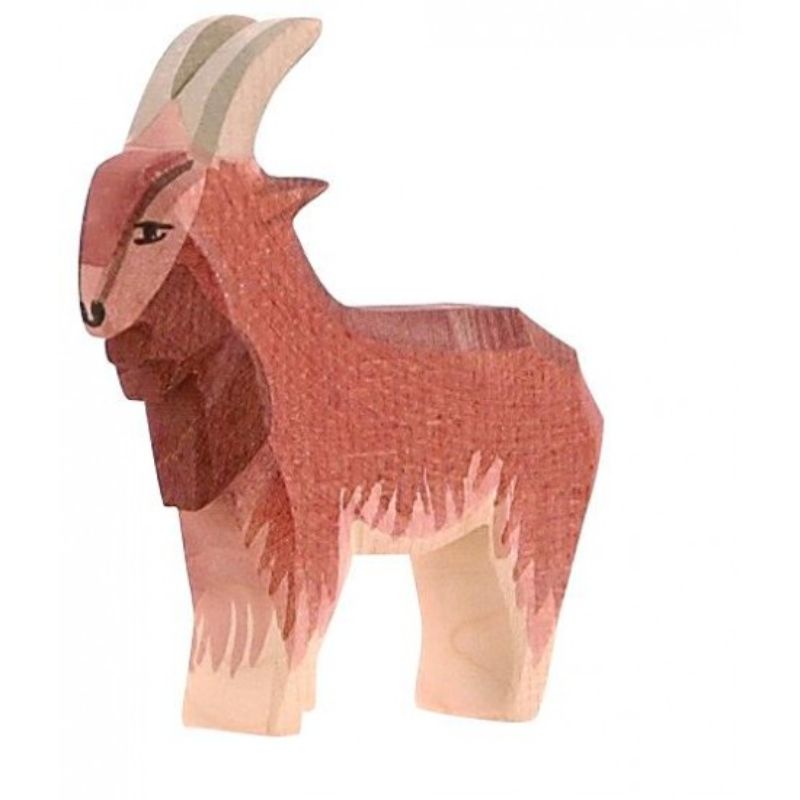Ostheimer Male Billy Goat