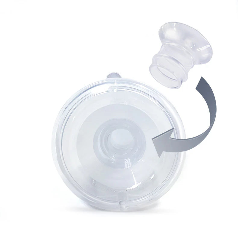 Pippeta Pump Flange Insert