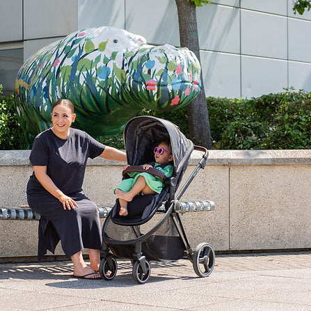 Red Kite Push Me Pace i 3 in 1 Travel System - Icon