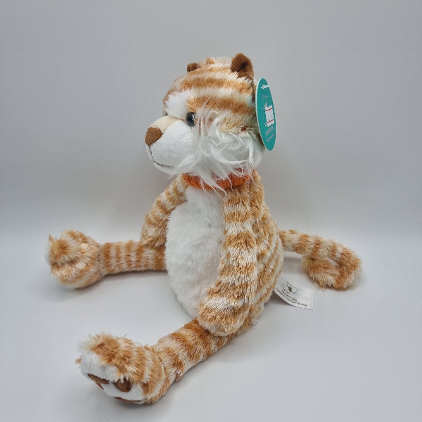 Jomanda Ginge The Cat Cuddly Companion