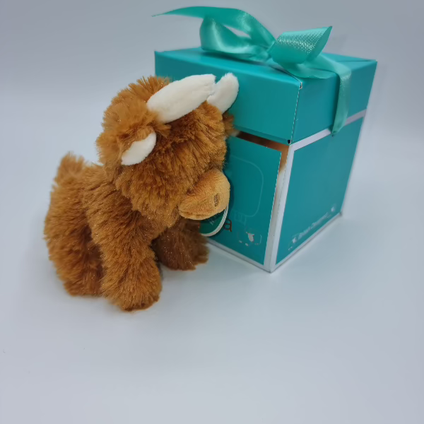 Jomanda Mini Brown Highland Coo Cow With Pop up Box