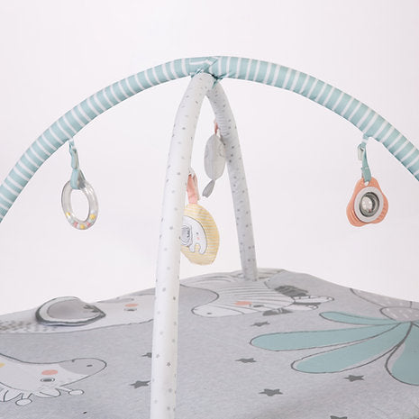 Tree Tops Play Gym