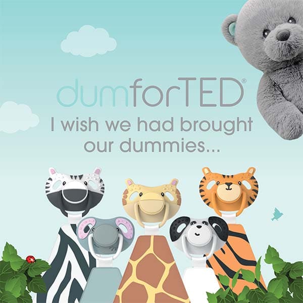 Dumforted teddy with book