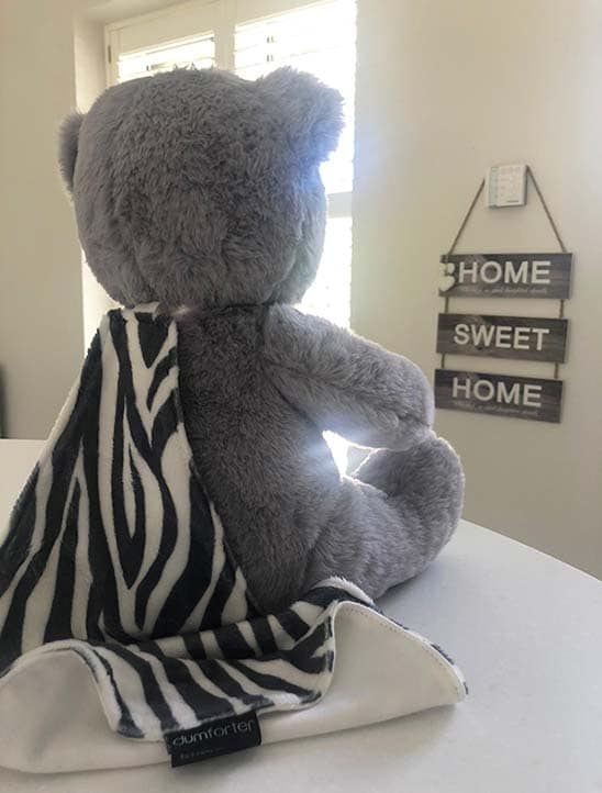 Dumforted teddy with book