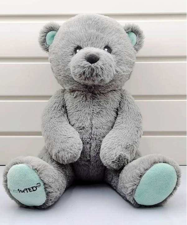 Dumforted teddy with book