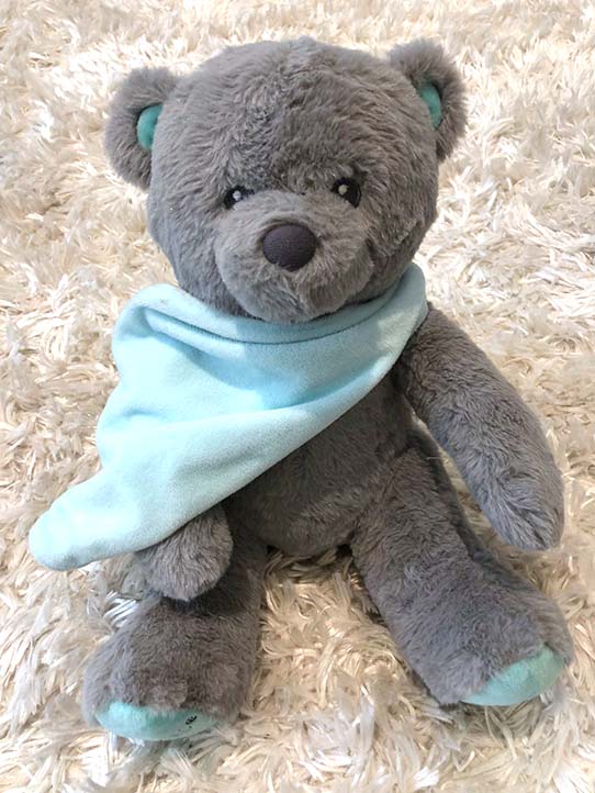 Dumforted teddy with book