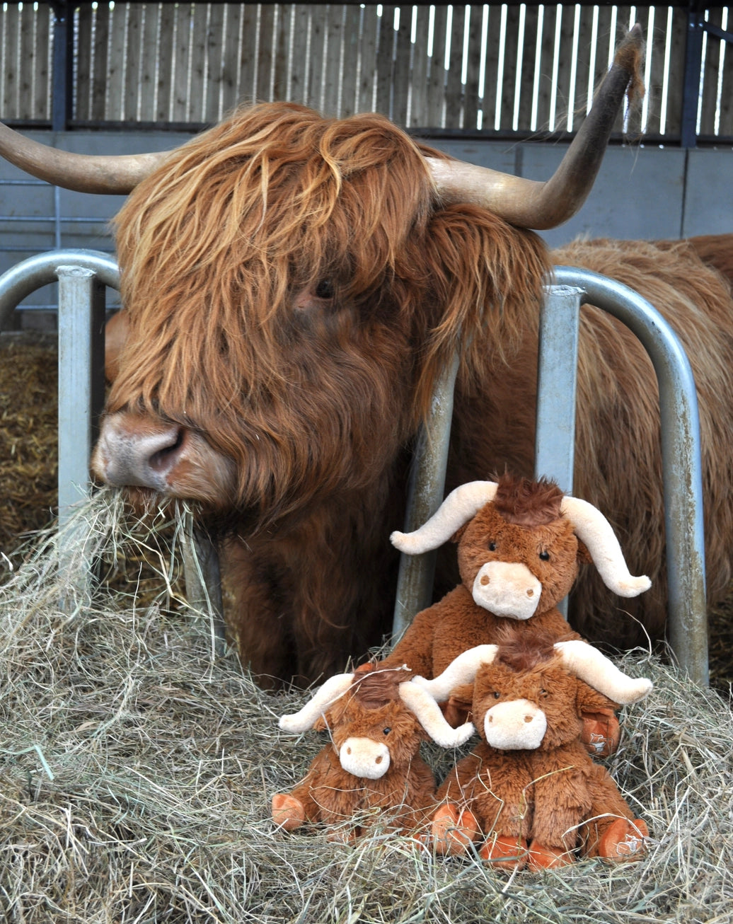 Jomanda Large Longhorn Brown Highland Coo Cow - 30cm