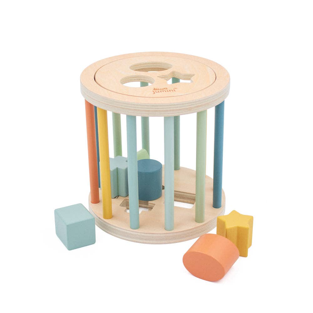 Wooden shape sorter toy with colorful cylindrical shapes on a white background