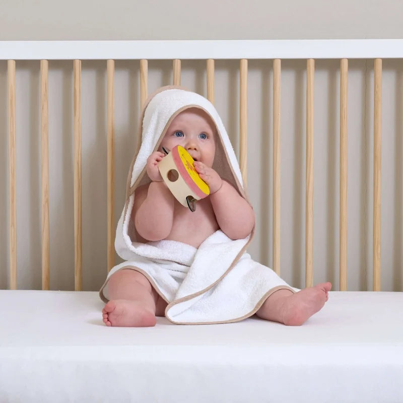 Clair-de-lune 2 Pack Basic Hooded Towels