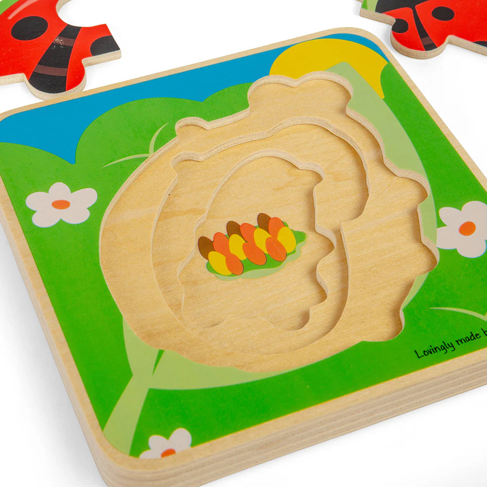 Bigjigs Ladybird Lifecycle Puzzle