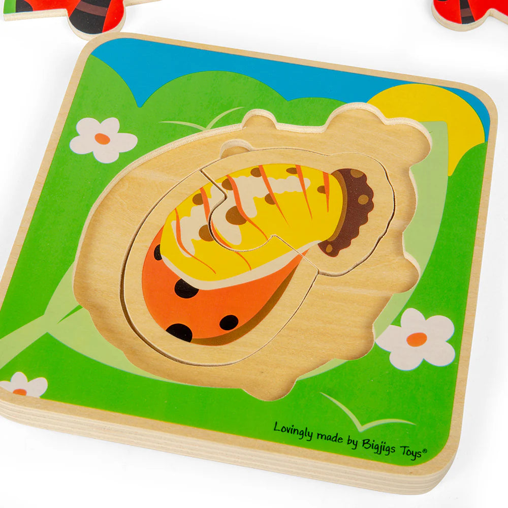 Bigjigs Ladybird Lifecycle Puzzle