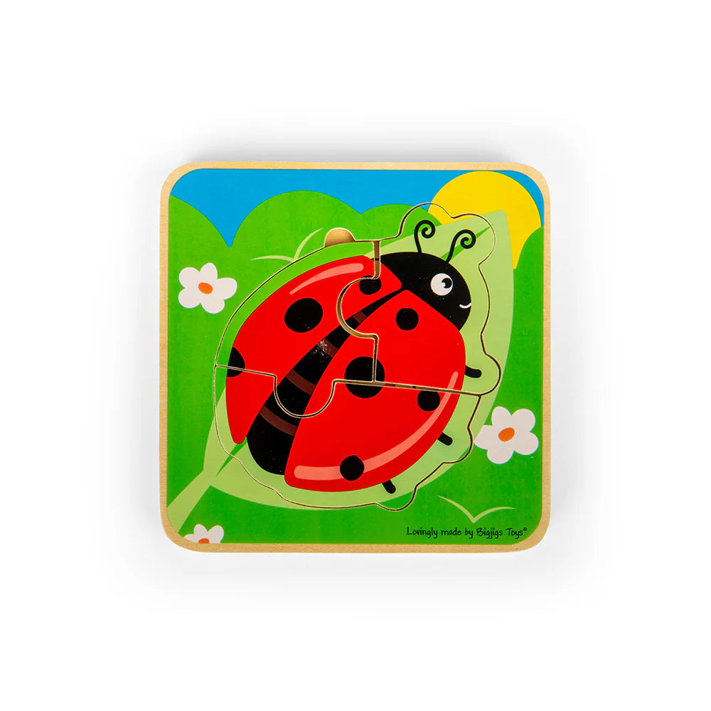 Bigjigs Ladybird Lifecycle Puzzle