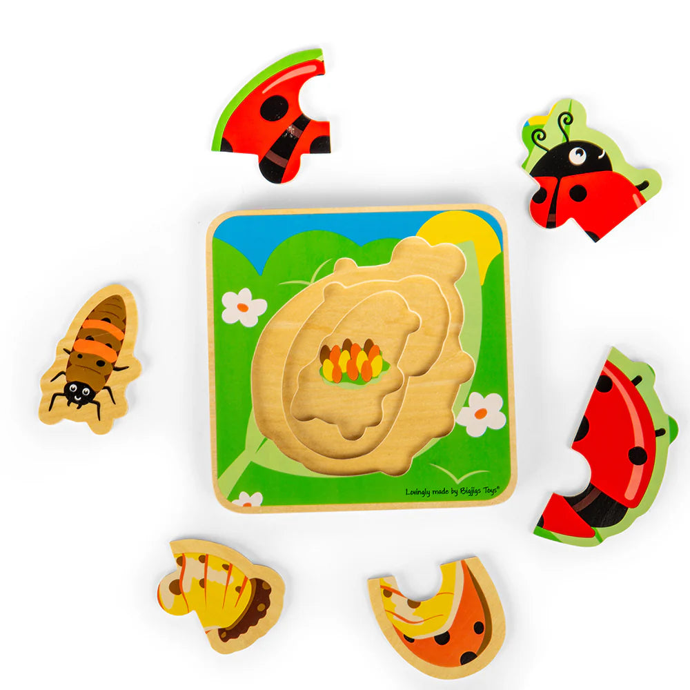 Bigjigs Ladybird Lifecycle Puzzle
