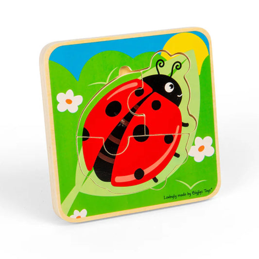 Bigjigs Ladybird Lifecycle Puzzle