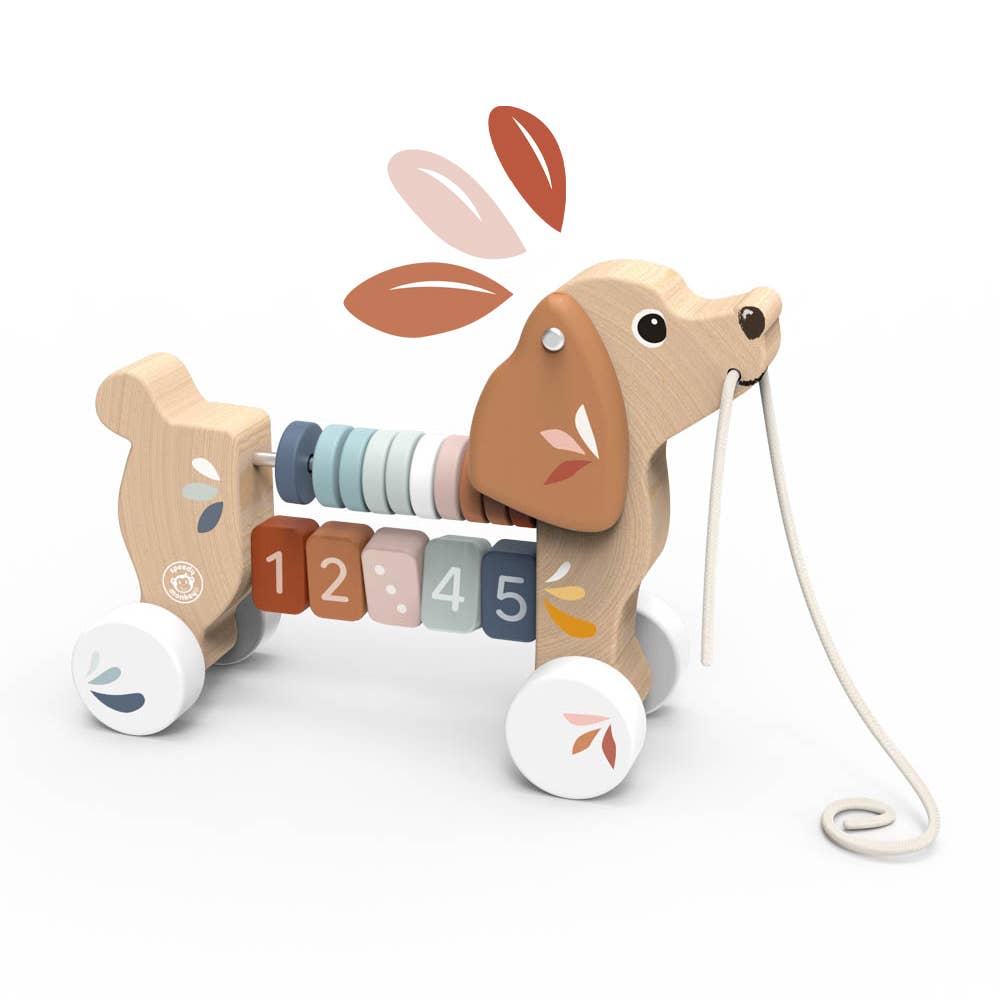Wooden toy dog with a pull string and number blocks on a white background