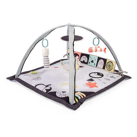Red Kite Arctic Dreams Playmat