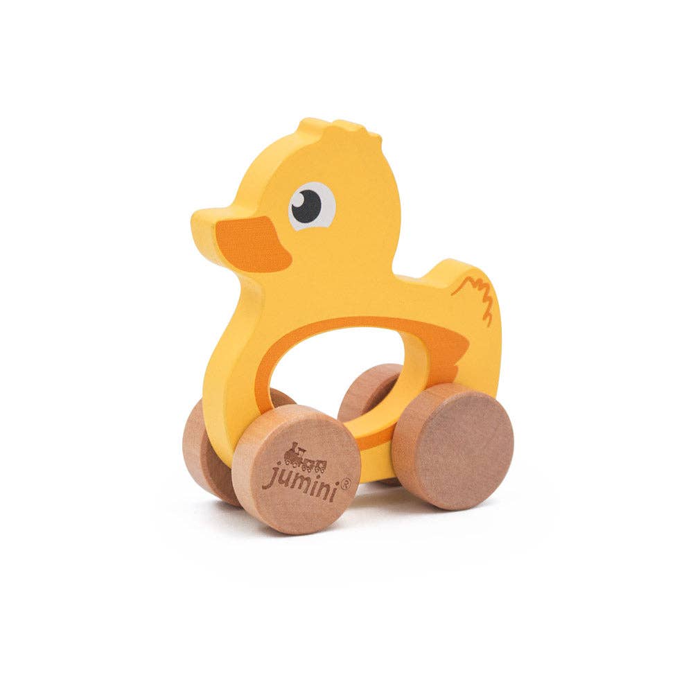 Jumini Push Along Friends Duck