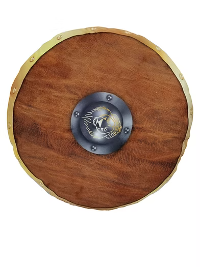 Pillowfight Warriors Roman Gladiator Shield