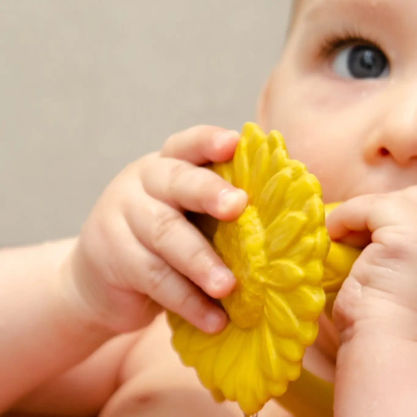 Nibbling Natruba Natural Rubber Teether Sunflower - Yellow