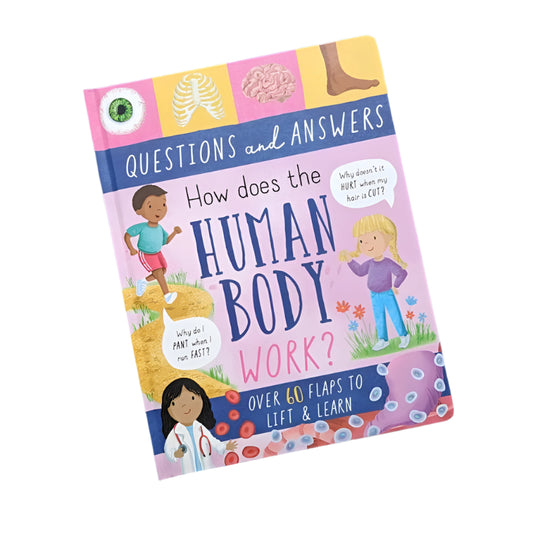 North Parade Human Body Question and Answer Flap Book