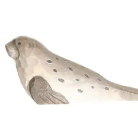 Wudimals Harbour Seal