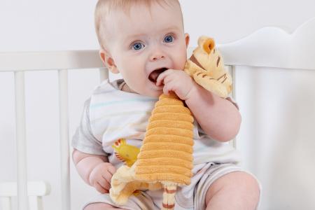 Rainbow Design Hundred Acre Wood Tigger Comfort Blanket