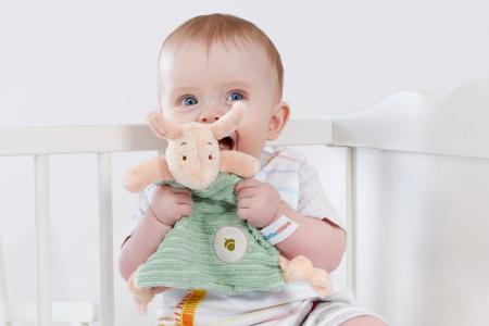 Rainbow Design Hundred Acre Wood Piglet Comfort Blanket