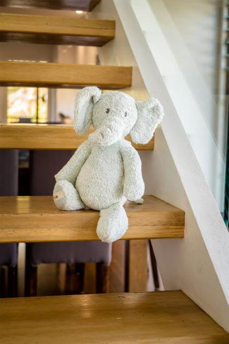 Tikiri Ernie the Elephant