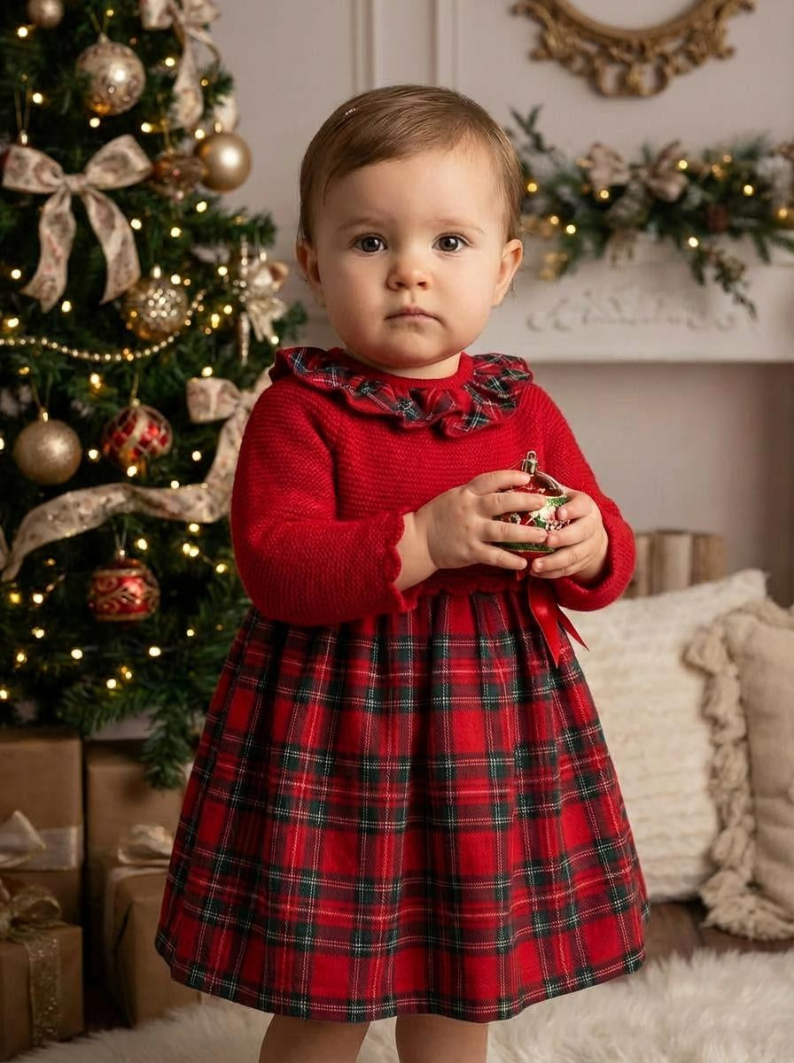 Pex Izzie Red Tartan  Dress