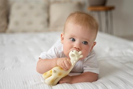 Rainbow Design Giraffe - Natural Rubber Teether Rattle & Bath Toy