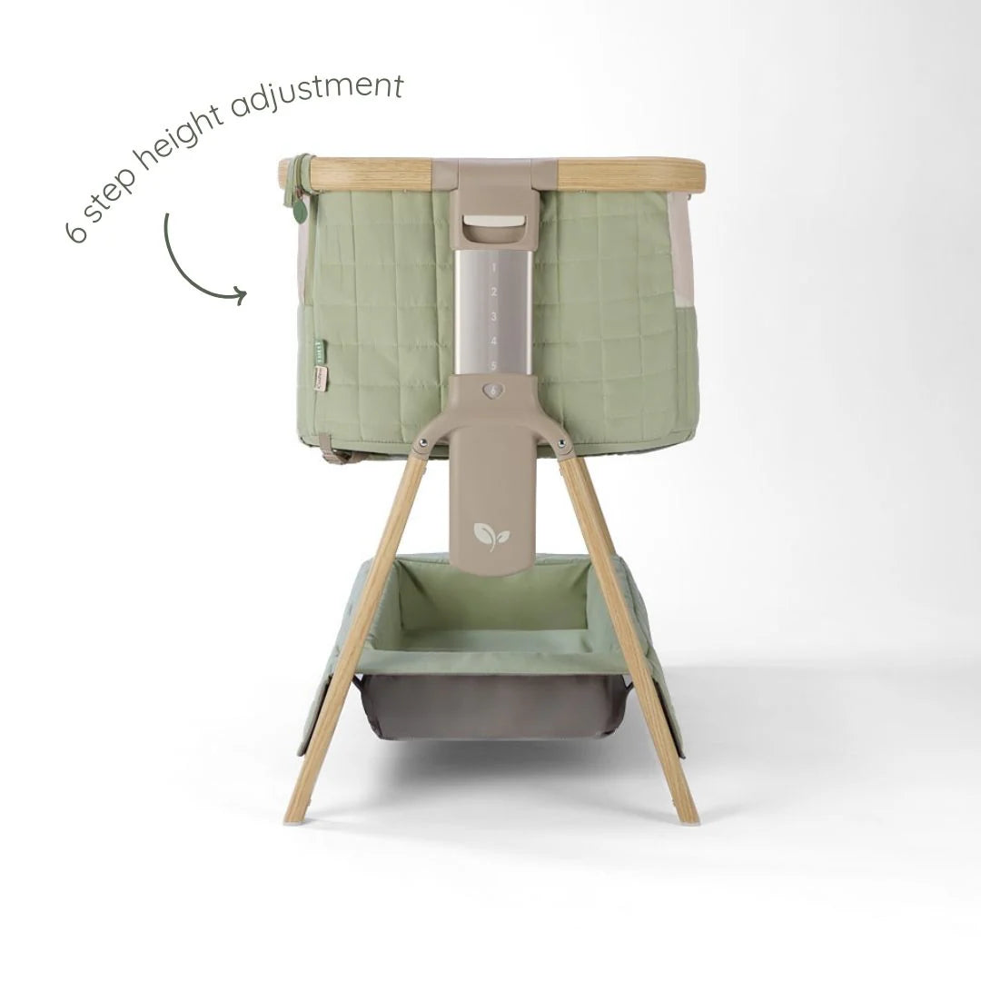 Tutti Bambini Cozee Sense Bedside Crib Drifted Oak and Eucalyptus